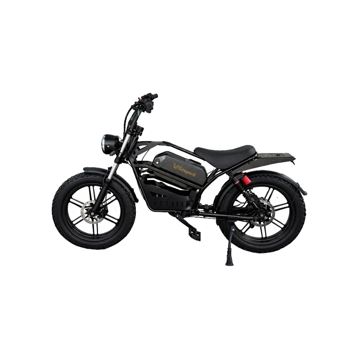Электровелосипед Leopard Y8 20", 750W, 48V18Ah