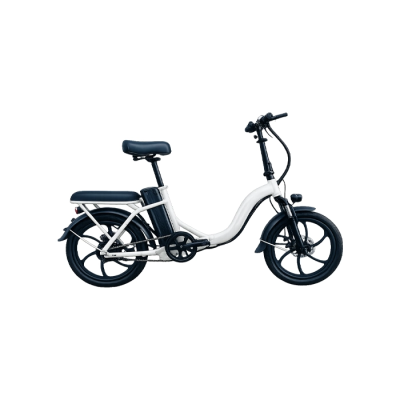 Электровелосипед ГудбайК D5, 1000W, 48V15A