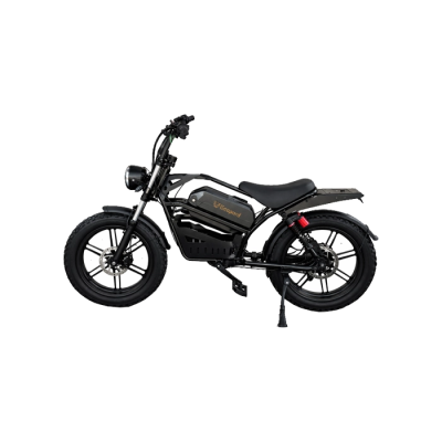 Электровелосипед Leopard Y8 20", 750W, 48V18Ah